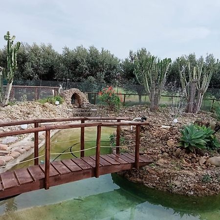 Villa Michelangelo Castellammare del Golfo Exteriör bild
